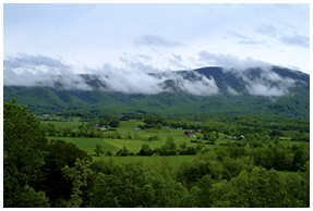 Wears Valley, Tennessee in Spring